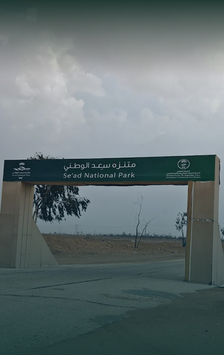 برامج المنتزهات الوطنية